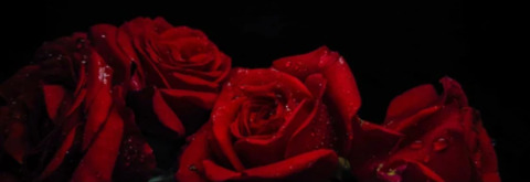 Video leaks gothicbeauty00