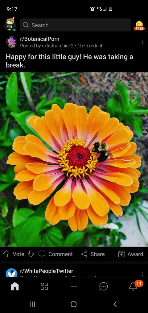 Video leaks greeenqueen