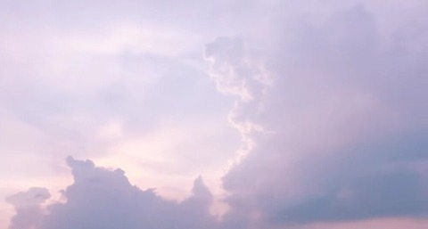 Video leaks green_mango