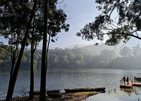 Video leaks greysweatpants_carhartts