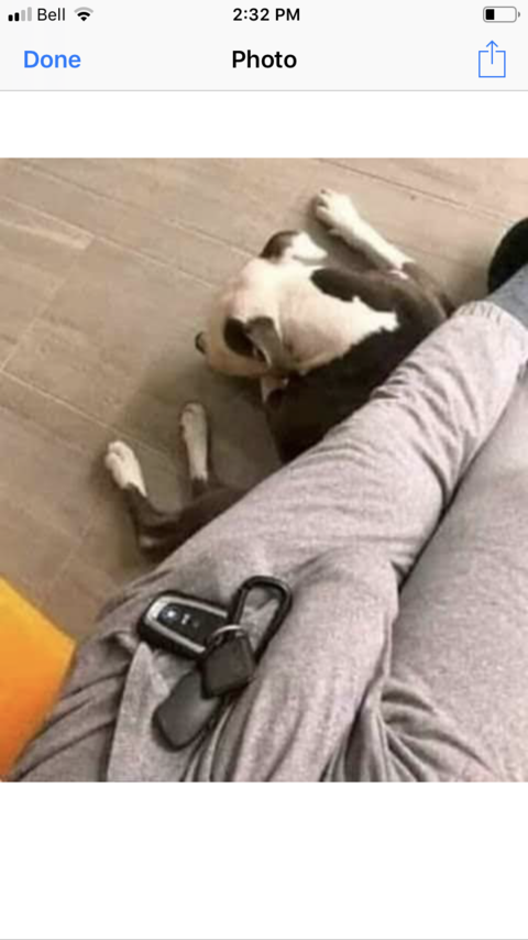 Video leaks griffith