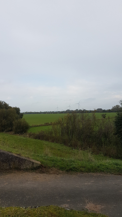 Video leaks guyintodowngear