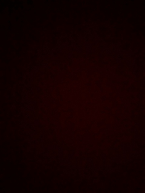 Video leaks gymlifee