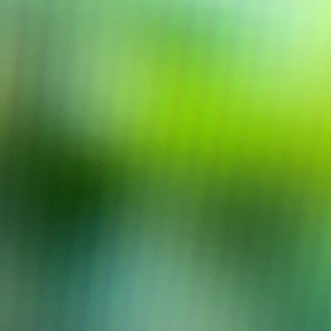 Video leaks gyokurodream