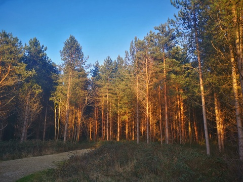 Video leaks halloweenqueen Video leaks halloweenqueen