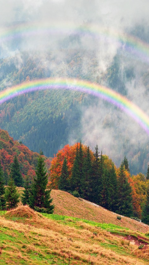 Video leaks hashoney7