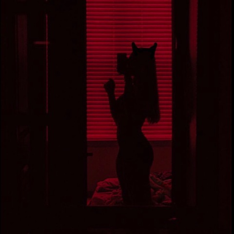 Video leaks hausofbunz