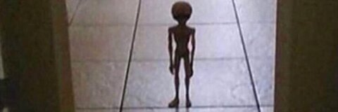 Video leaks havenx17