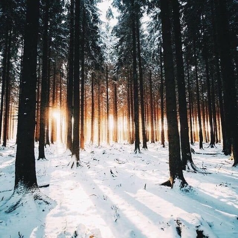 Video leaks hayley.bayley