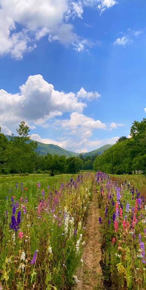 Video leaks heartgirlshit