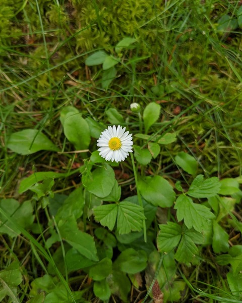 Video leaks highvixen