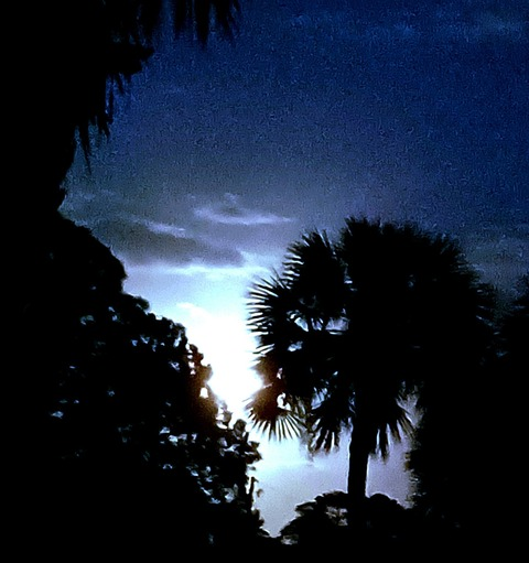 Video leaks hillbilly_