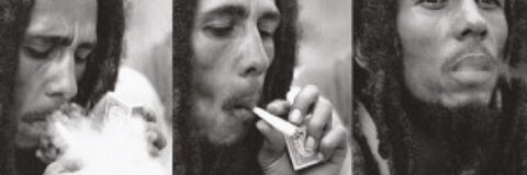 Video leaks hirosaki