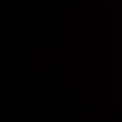 Video leaks hoequito