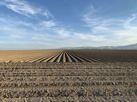 Video leaks homo_sex