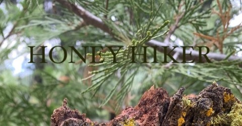 Video leaks honeyhiker