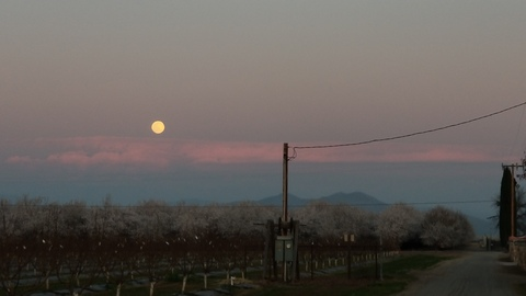 Video leaks hungalpha