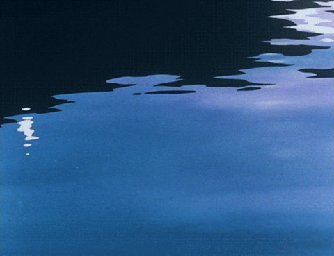 Video leaks huniepie