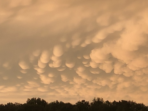 Video leaks i_seeyouseeme