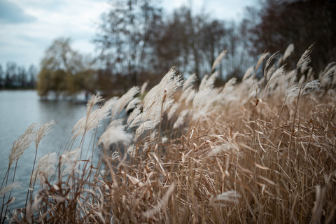 Video leaks iambonniebi