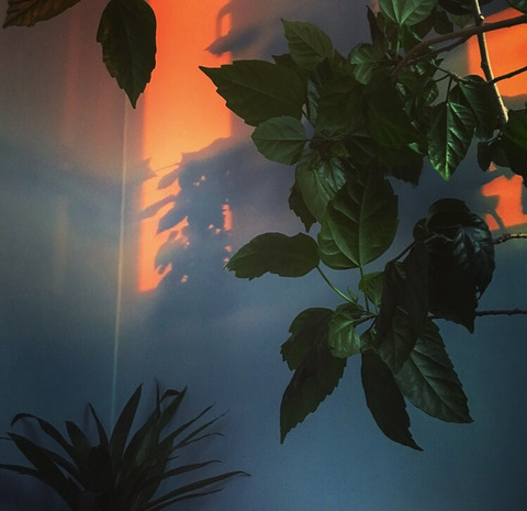 Video leaks idontclaire