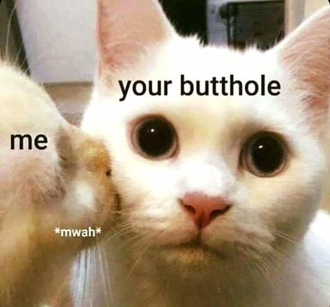 Video leaks im.not.your.daddy