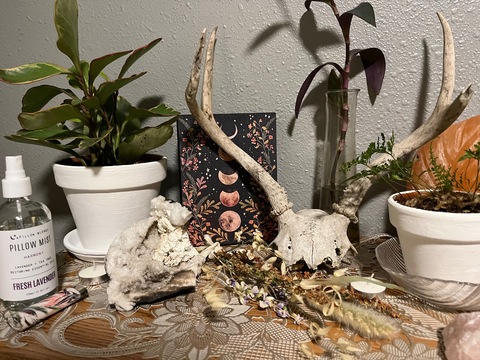 Video leaks indiajadex