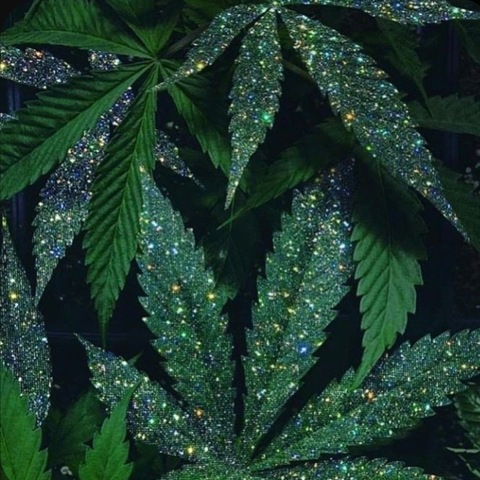 Video leaks indica.haze