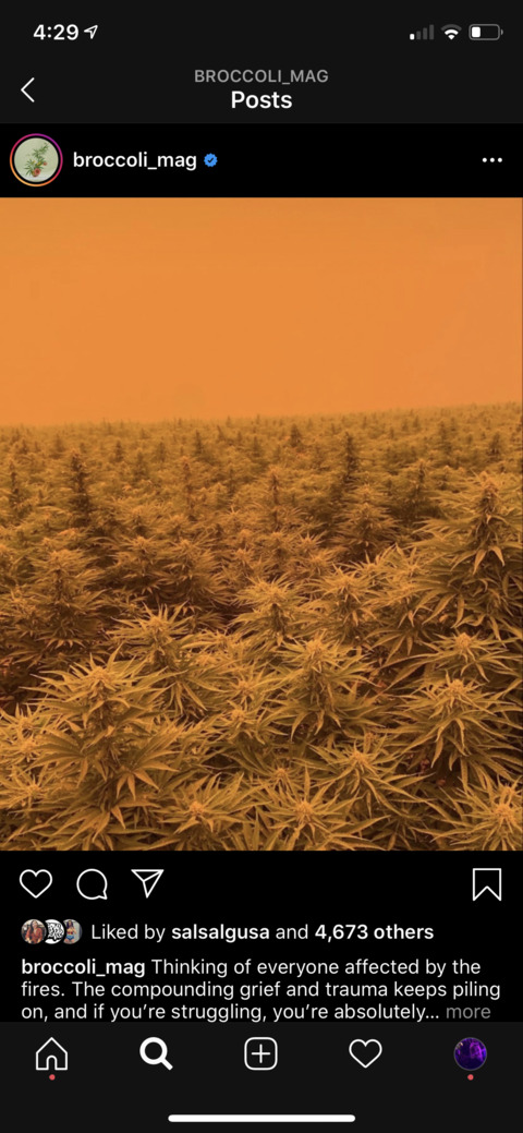 Video leaks indicaivy111