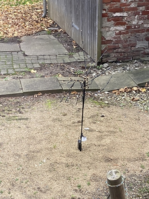 Video leaks isabellemillerwilbemywif