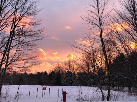 Video leaks itsleonie