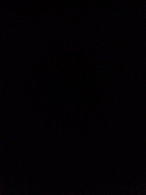 Video leaks itsmollycrue