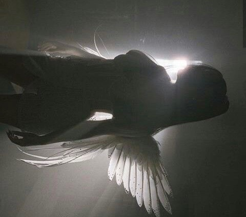 Video leaks jadedollxxx