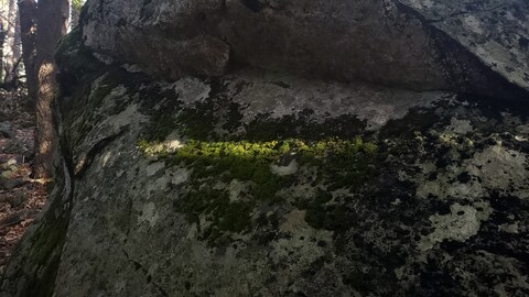 Video leaks jakeorris