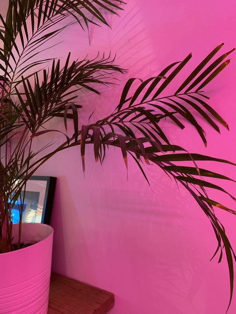 Video leaks jannyegoist