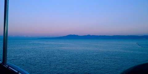 Video leaks januweski