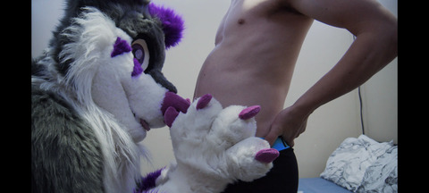 Video leaks jaro-wolf-fox-ad