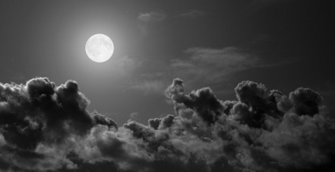 Video leaks jasontwink19