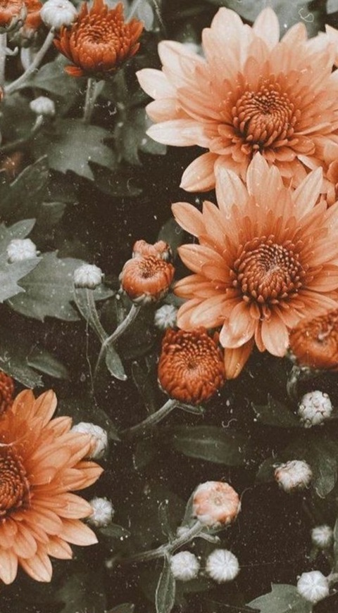 Video leaks jaydenjuicefree