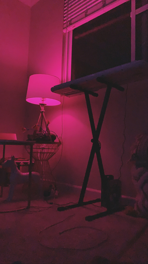 Video leaks jebuslight