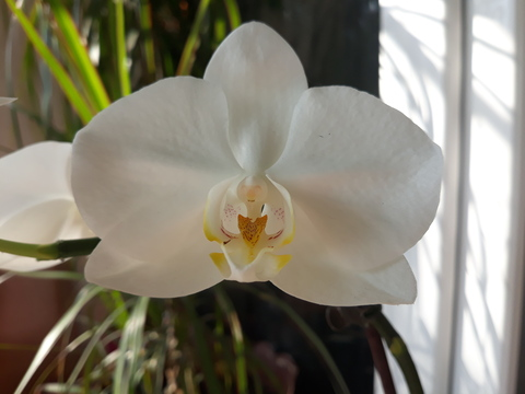 Video leaks jessie1994