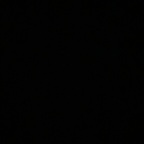 jessieu Profile Picture