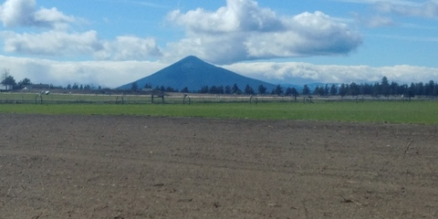 Video leaks jimmyfred