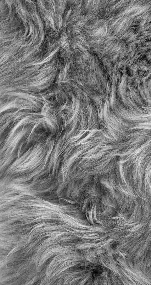 Video leaks jnnfrsmmr