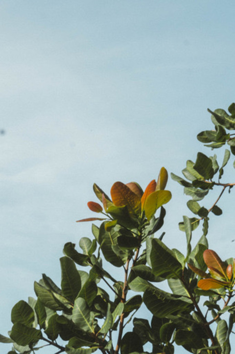 Video leaks joganggirl