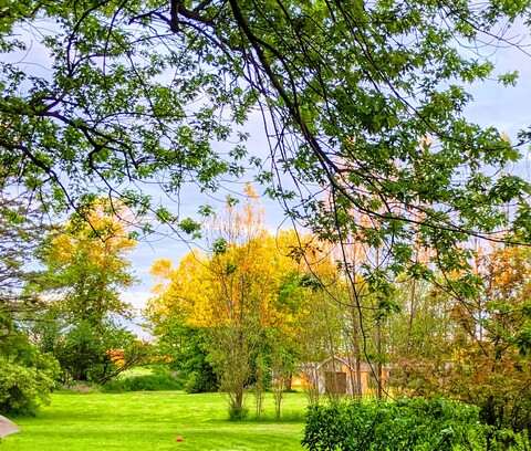 Video leaks johnbrownell