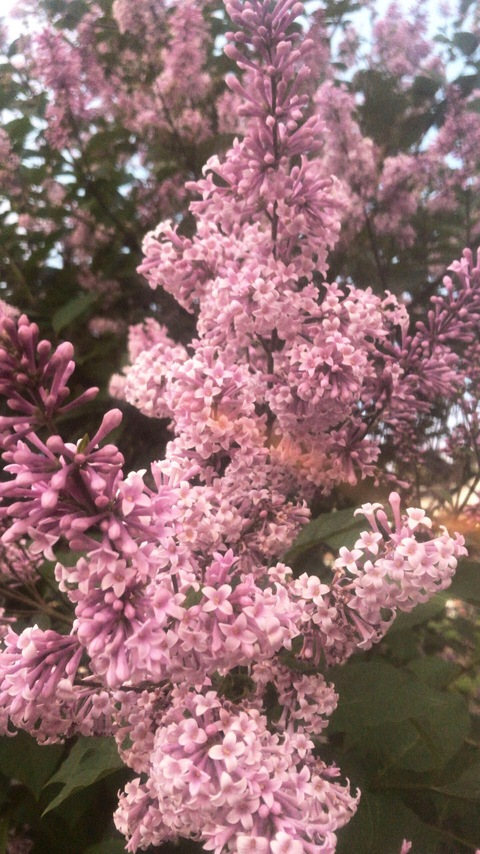 Video leaks johnrxck