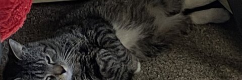 Video leaks jos41yn
