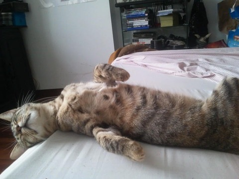 Video leaks juicysisters