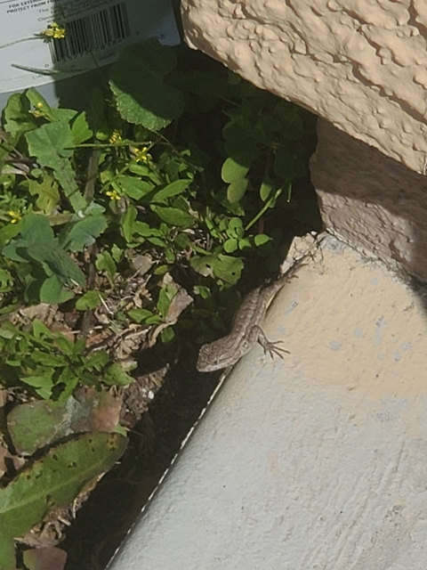 Video leaks juniorxc